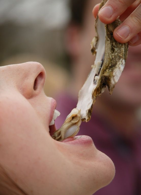 Sexy oysters